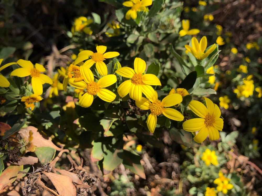 Riverlanders warned to be on the lookout post image
