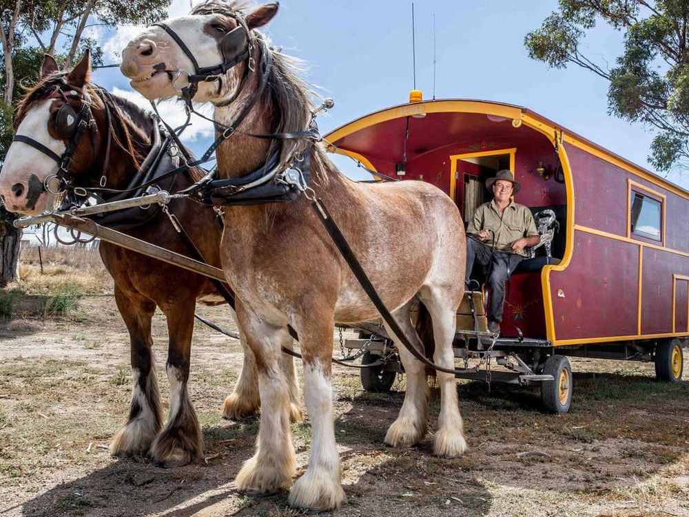 Harry’s mighty trek for Craniofacial Australia post image