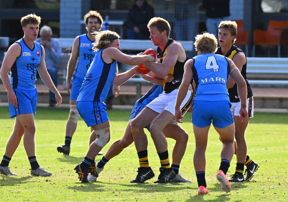 Tigers stun Roos in Lakeside special post image