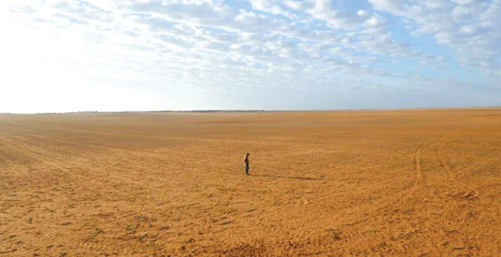 Highway pipes linked to horticulture development post image