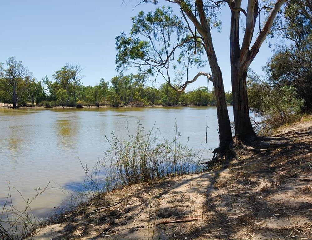 High river flows celebrated on wetlands day post image