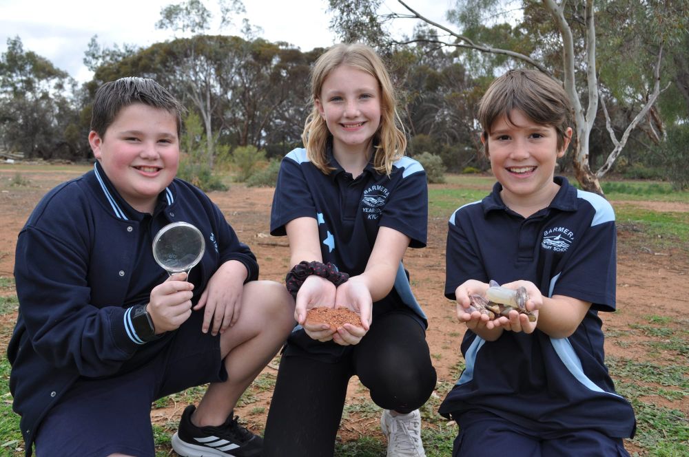 Whiz Kids post image