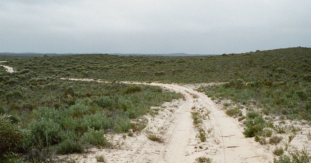 Prescribed burn tomorrow and Friday post image