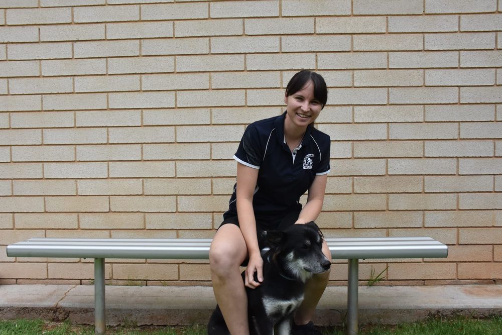 Staff shortages at Riverland Veterinary Practice taking its toll on vets... Our vets &lsquo;are human too&rsquo; post image