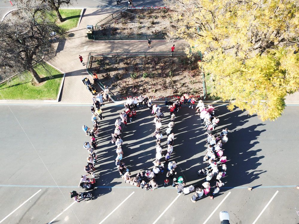 Council helps locals celebrate centenaries post image
