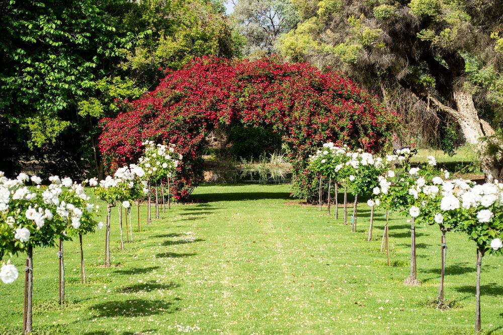 Open your garden for festival goers this October post image