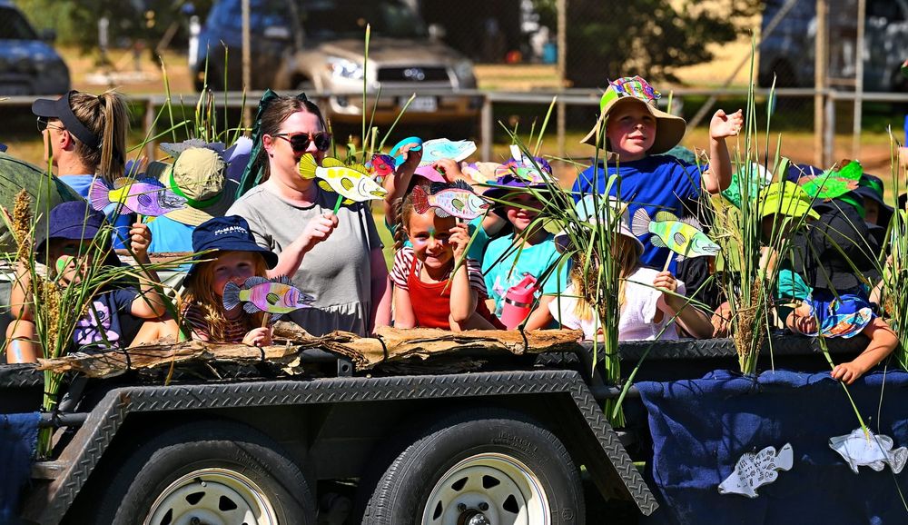 Can you help the Loxton Mardi Gras continue? post image