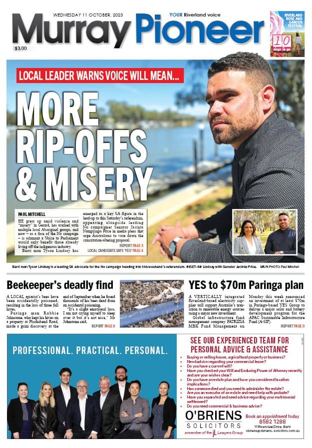 October 11, 2023 post image