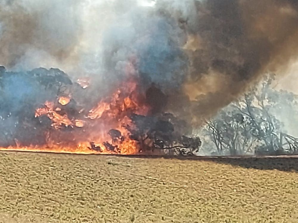 Lightning sparks 14 weekend fires post image