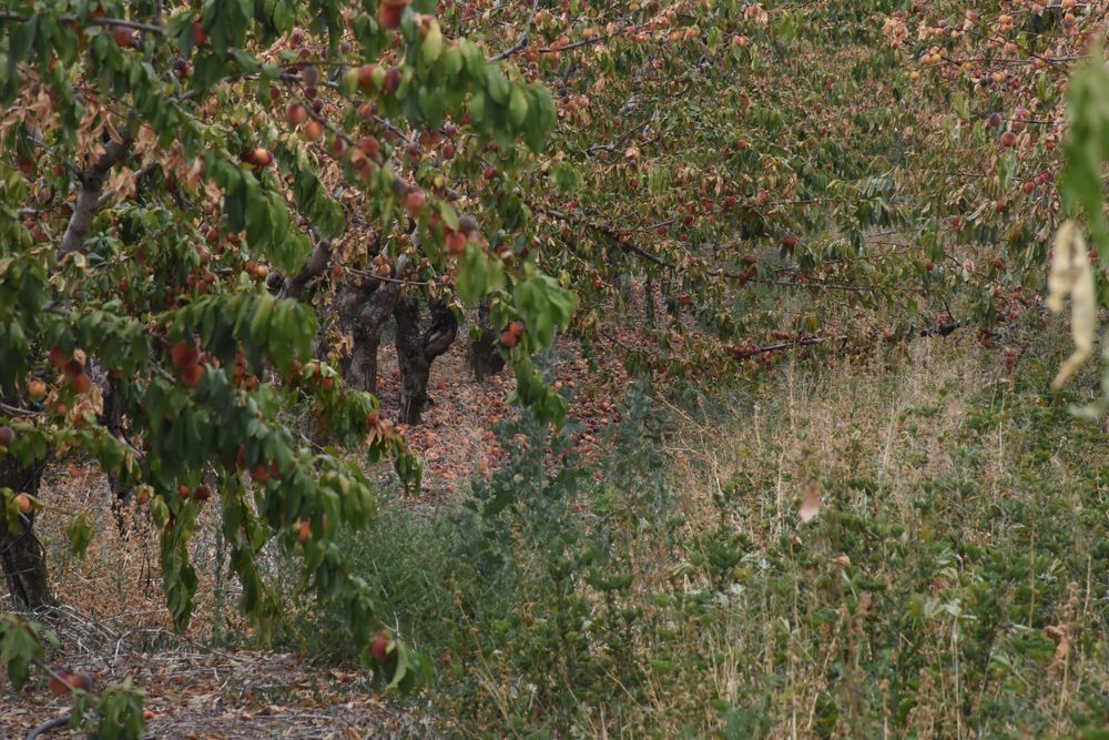 Renmark block sparks call to community post image