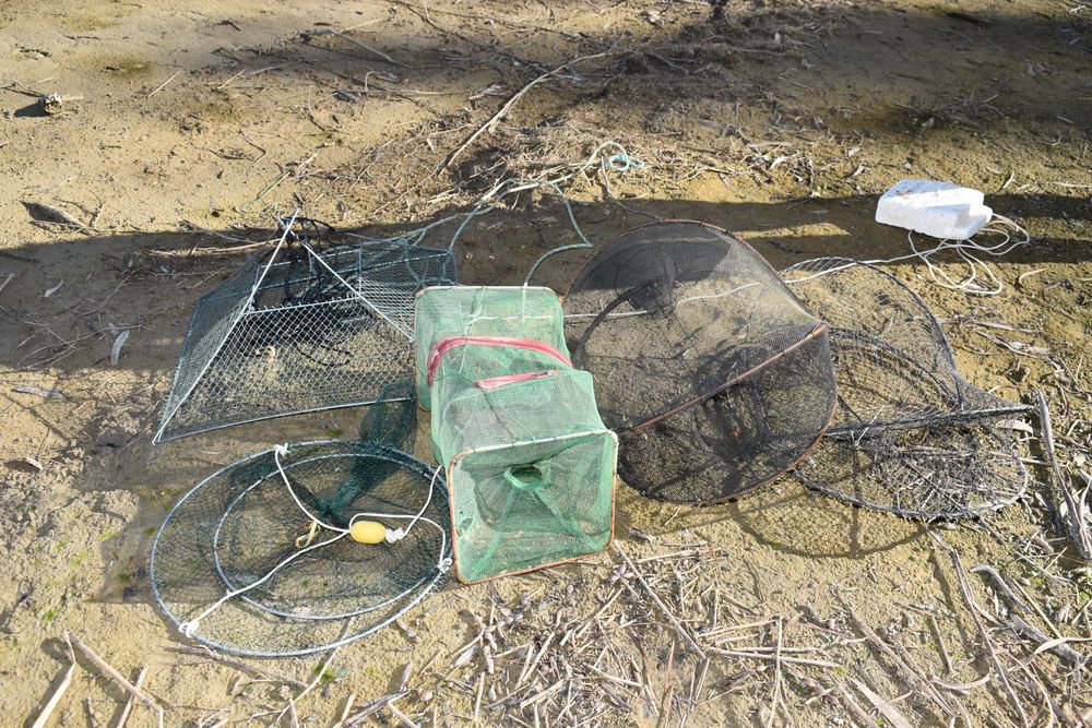 Local pro fisherman questions net ban post image