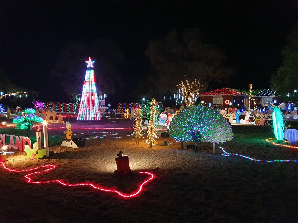 Waikerie Senior Citizens' trip to Loxton lights post image