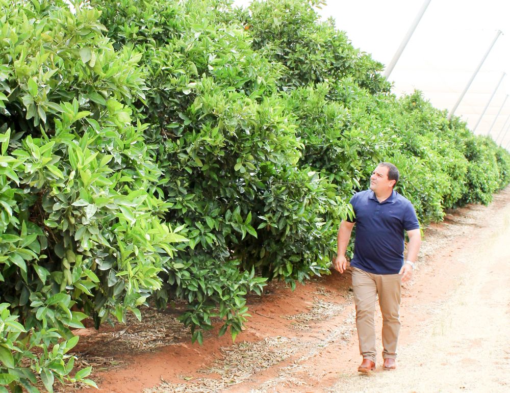 Indonesia to join new visa program? post image