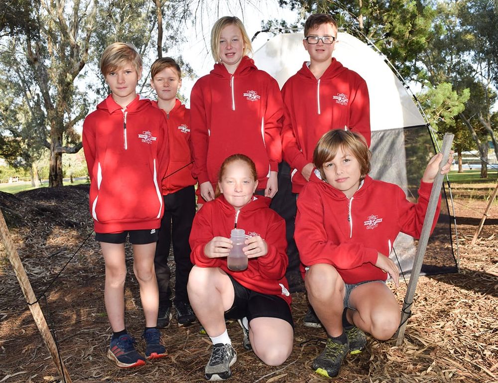 Ramco students’ wasp discovery post image