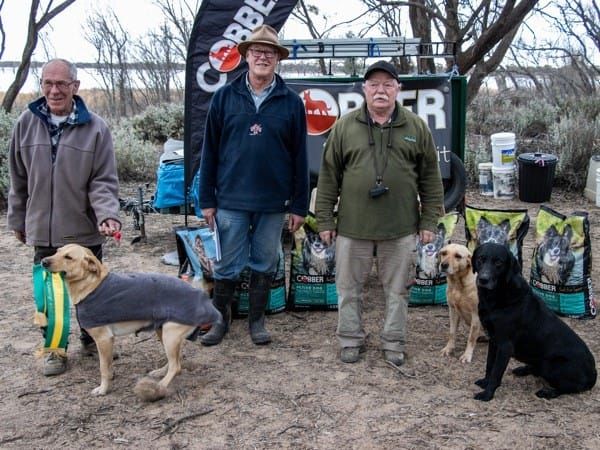 ‘Gun dogs’ showcased at Loveday competition post image