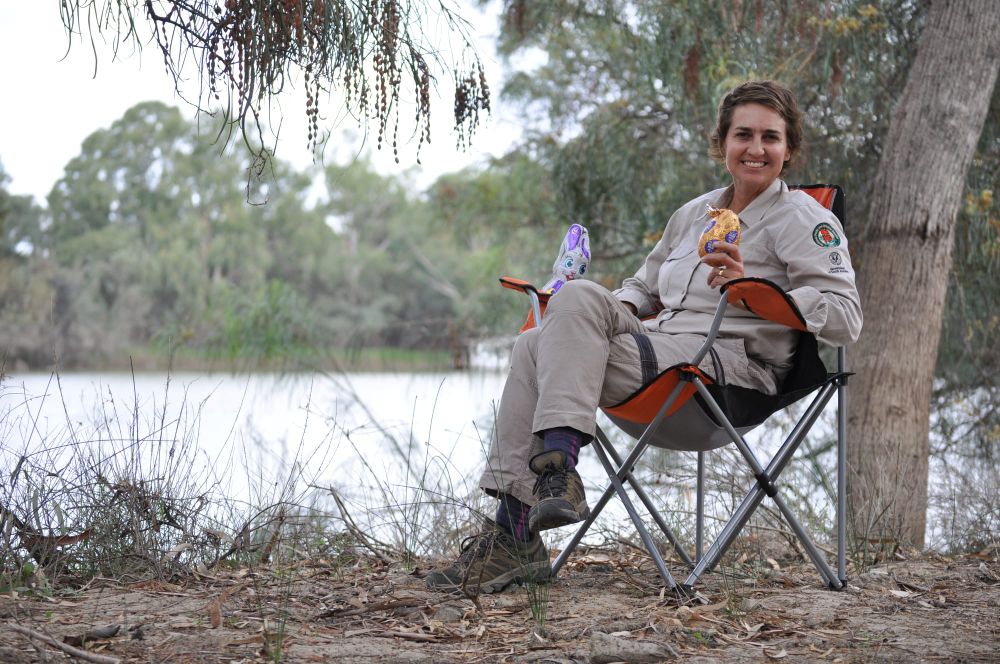 Visitors welcome back to our great outdoors post image