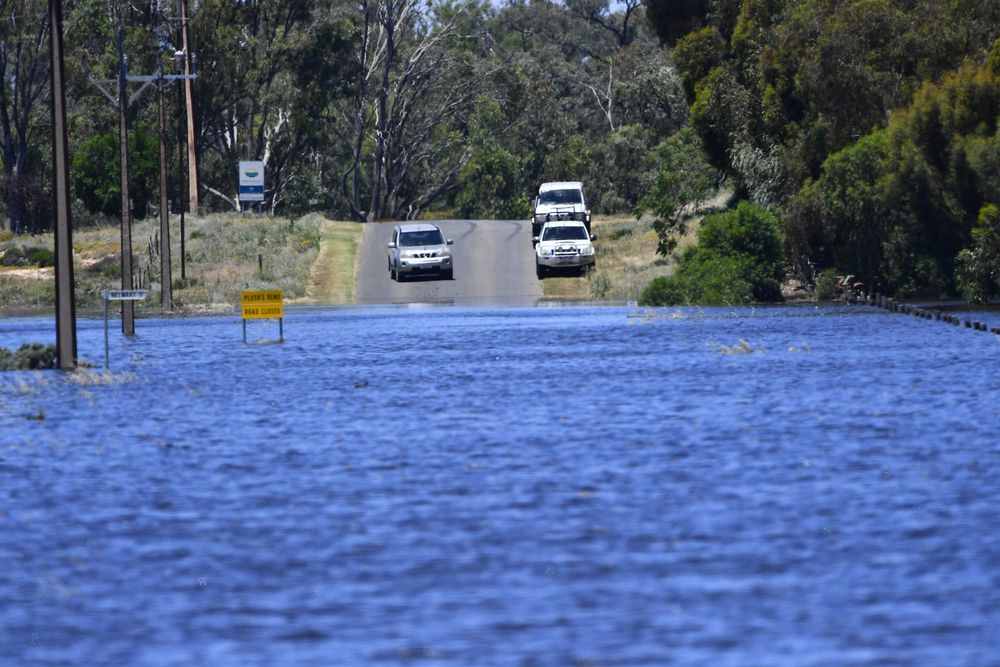 Renmark car roof rescue post image