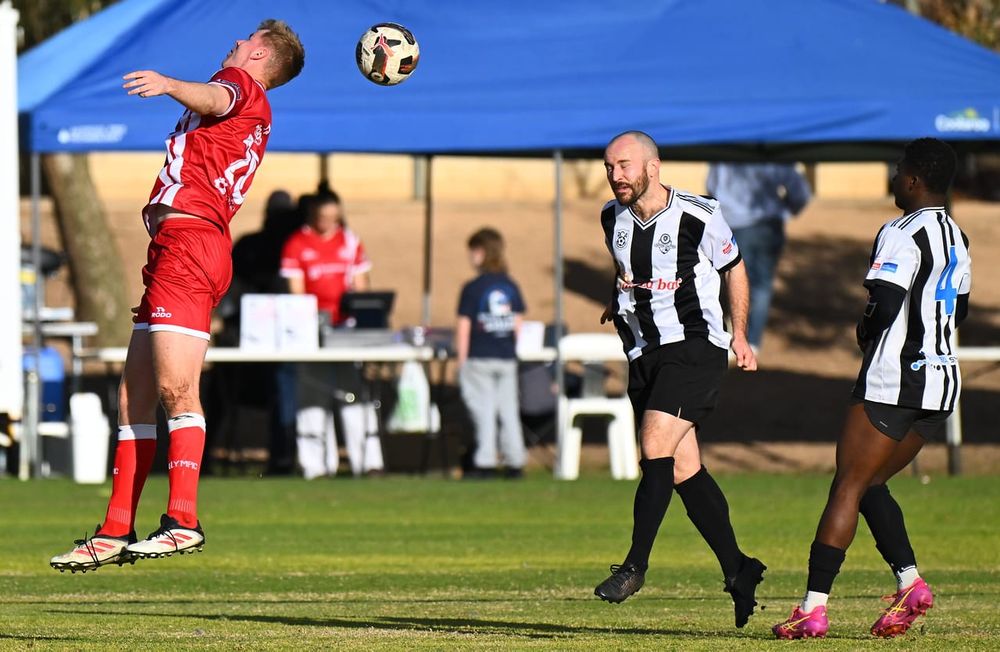 Potent Pelicans return to winning ways post image