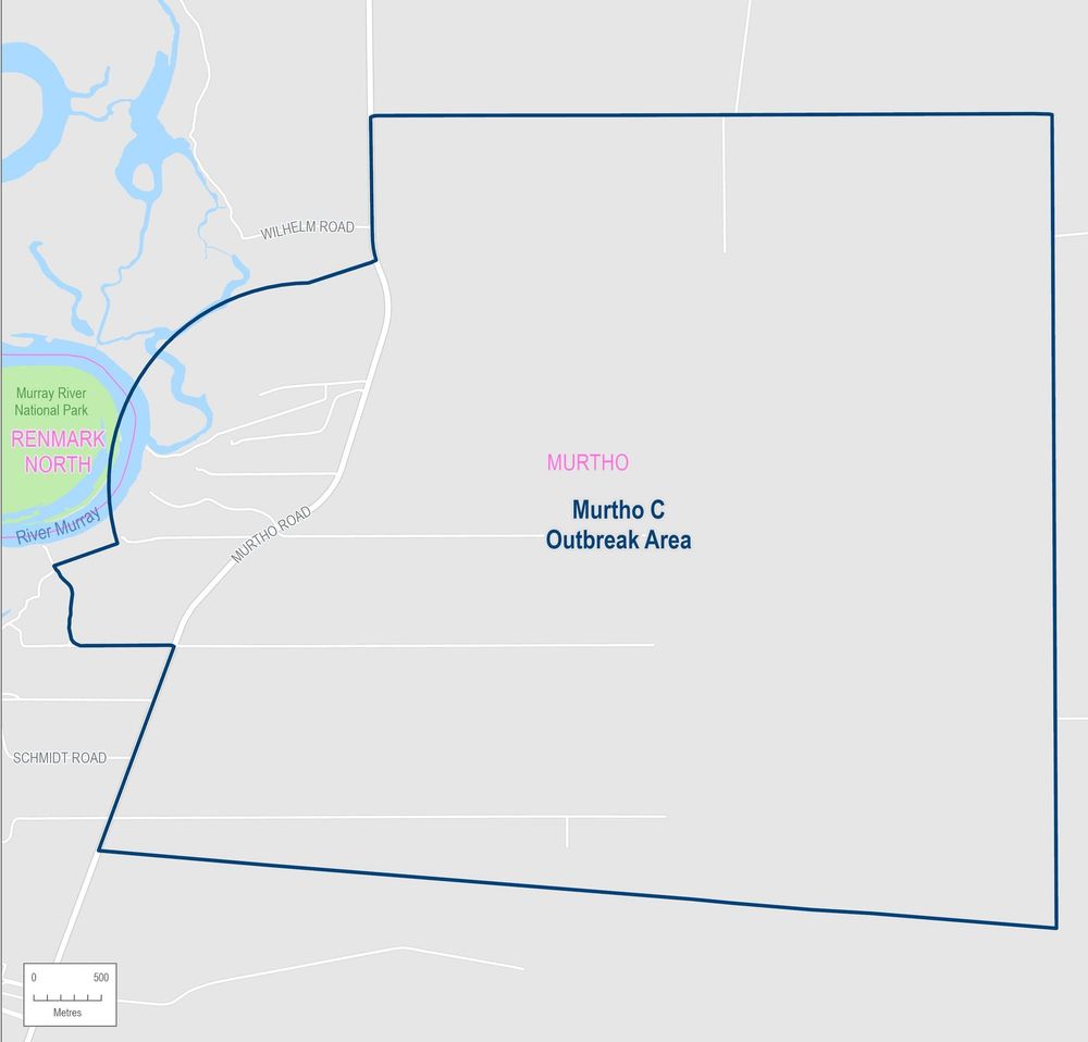 Third fruit fly outbreak declared in Murtho post image