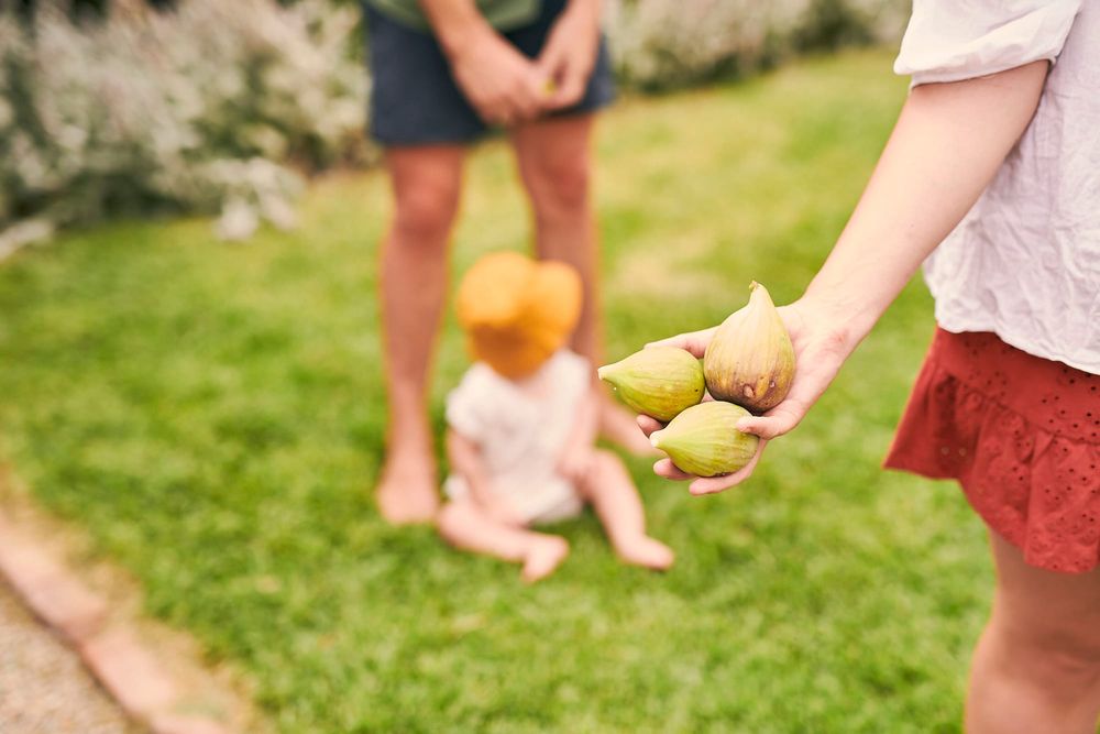 Fruit fly meetings held last week post image
