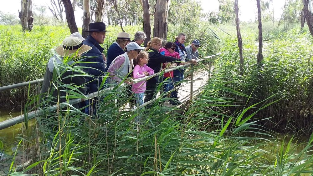 Free guided environmental walks to celebrate Week of Ageing Well post image