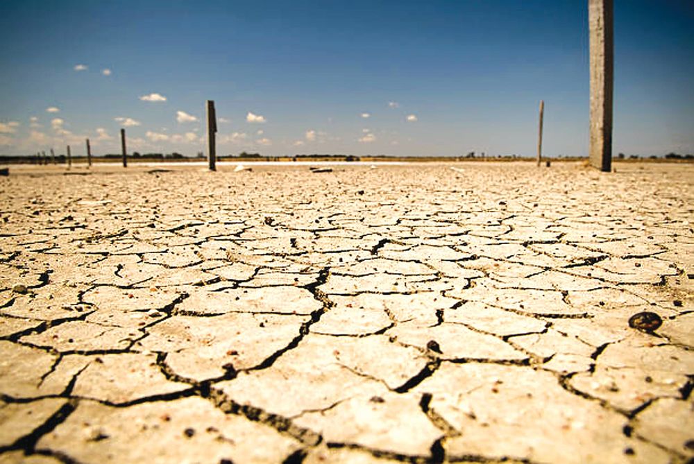 MMC Mayor Bailey welcomes $55m drought support package post image