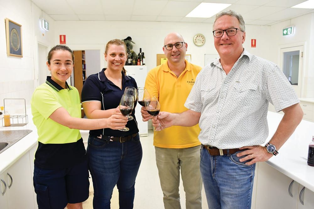 The organic wine revolution post image