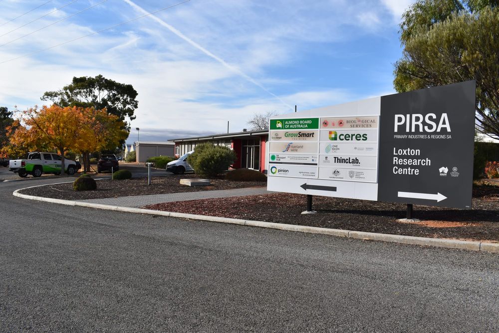 Loxton Research Centre no longer Riverland Wine’s home post image