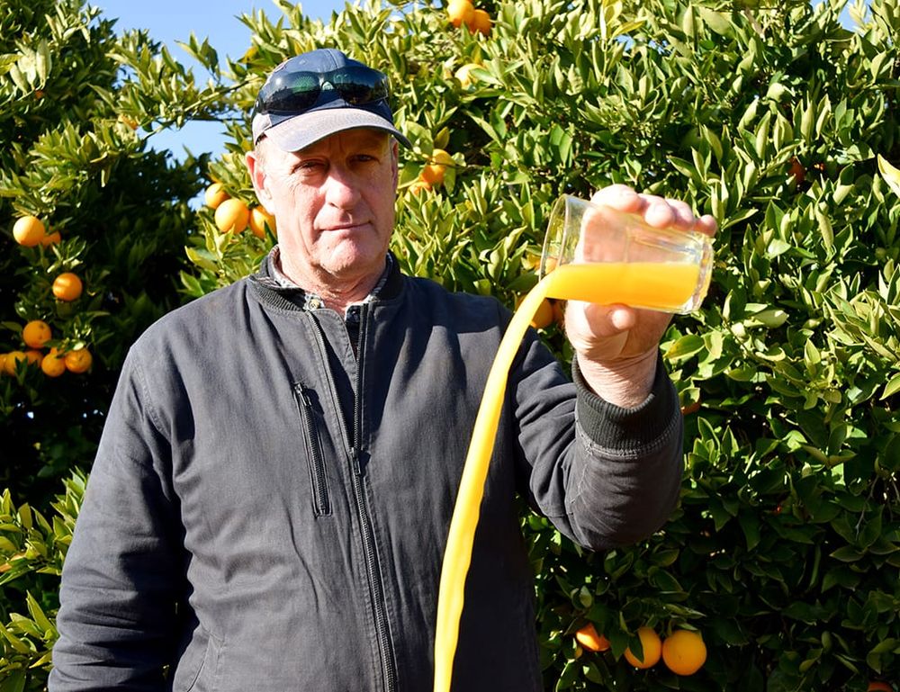 Star rating changes see orange juice rated lower than soft drink… POUR FORM post image