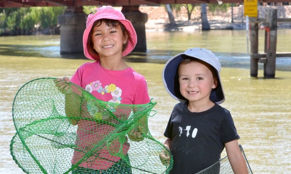 Opera house nets banned from July post image