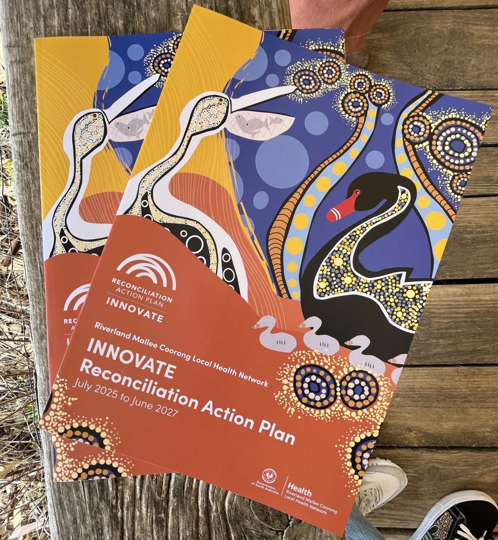 RMCLHN launches second RAP post image