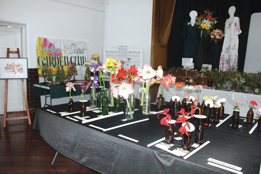 Region’s artistic talent on display post image