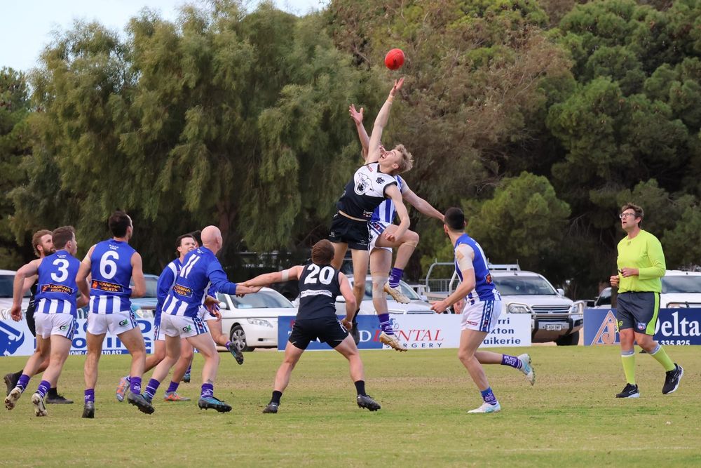 Rovers rise to top of the RFL ladder post image