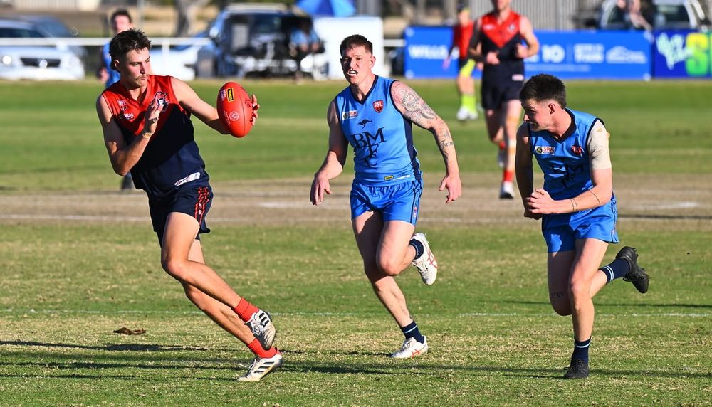 Roos bring Berri’s season to a close post image