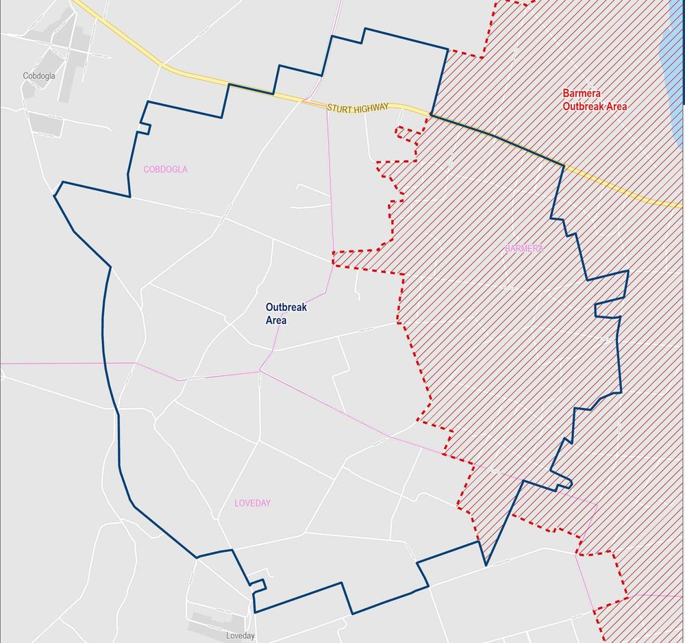 One new fruit fly outbreak declared in the Riverland post image