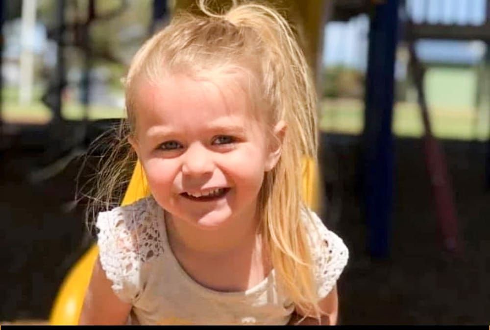 Backyard blitz: Elizabeth’s own fairy garden post image