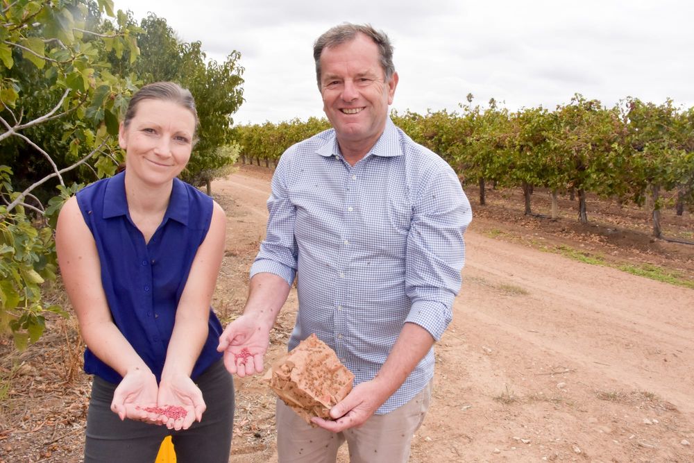 Co-operation necessary on fruit fly, says Tim post image