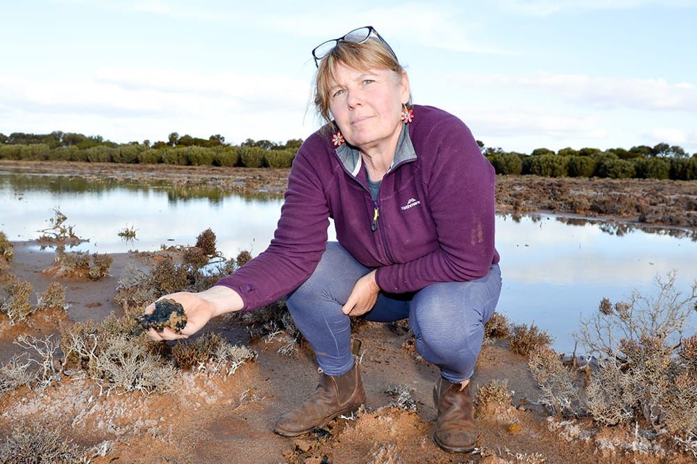 Minister heading to Frahn farm post image