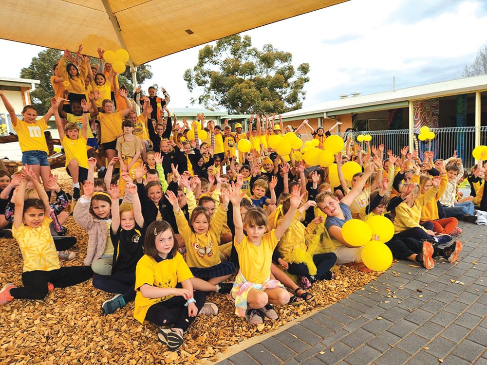 LPS goes yellow for a cause post image