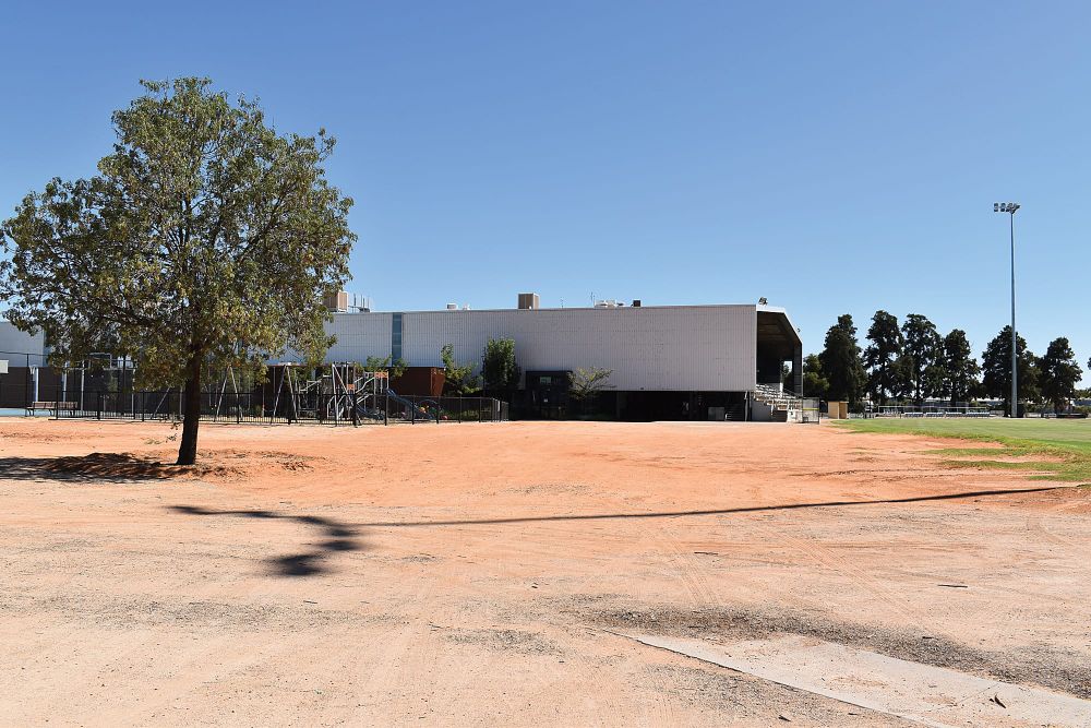 Build it and they will come? post image