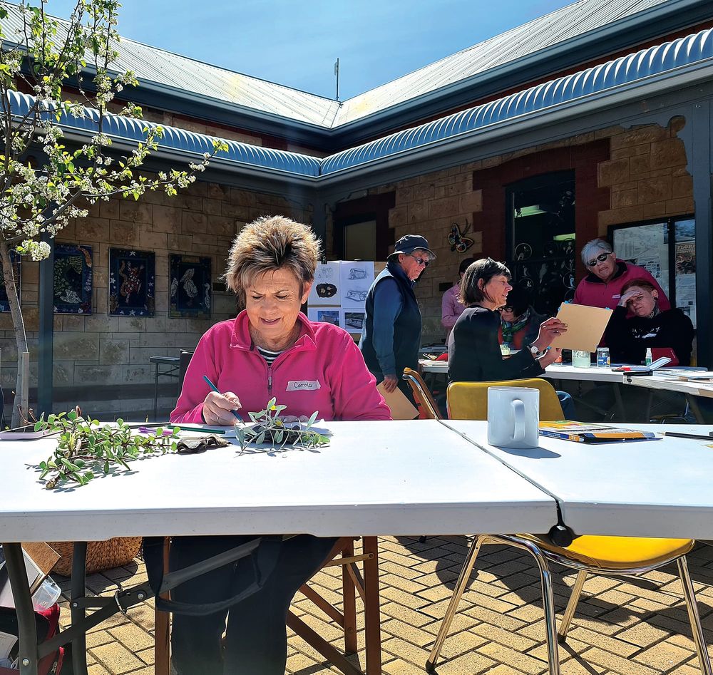 Outdoor art workshop popular at Waikerie post image