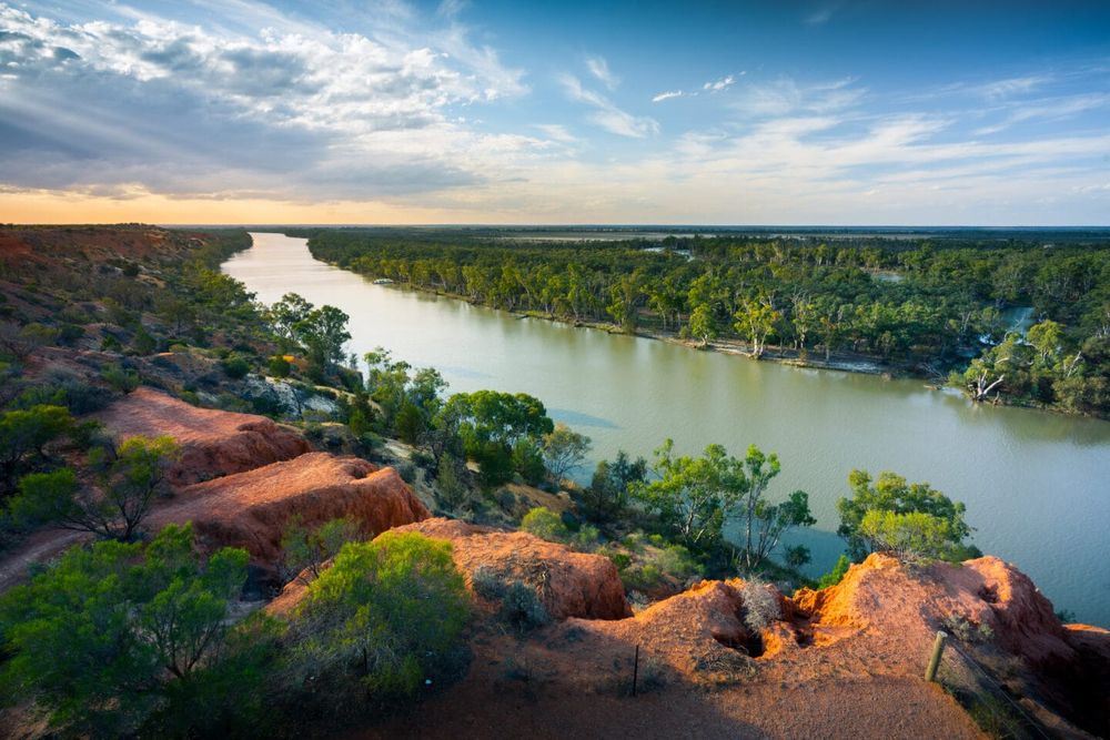 Environmental flows benefit local wildlife post image