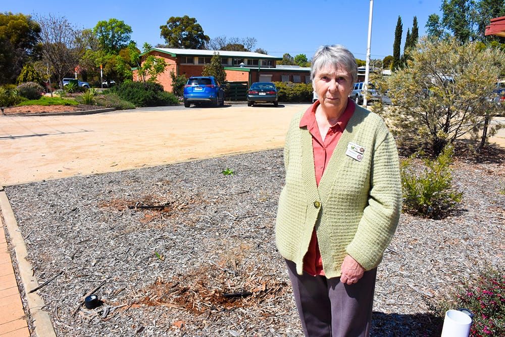 Stolen roses leave SACWA members devastated post image