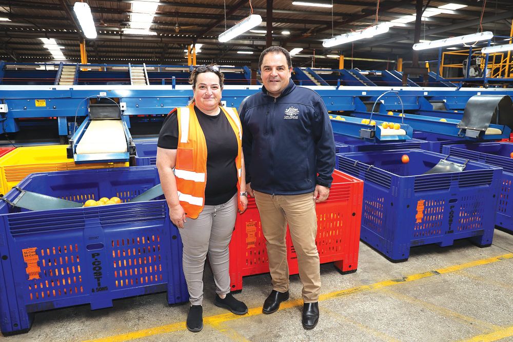 Visa changes to cost Riverland, says Pasin post image