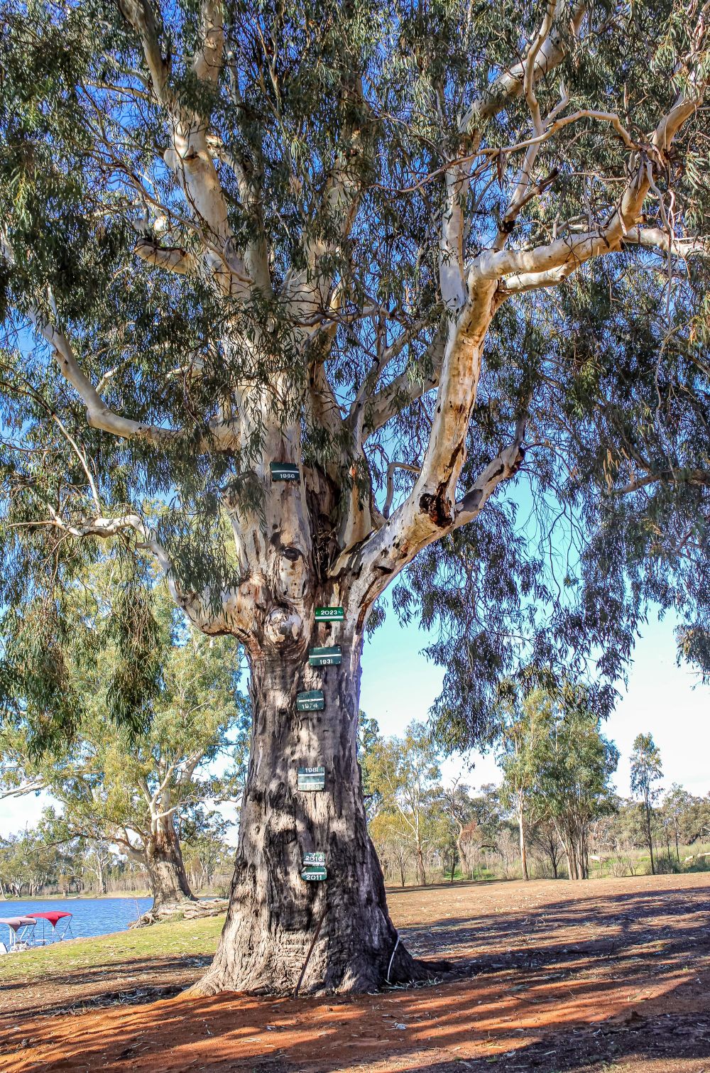 Big Shed Wine Sale returns post image