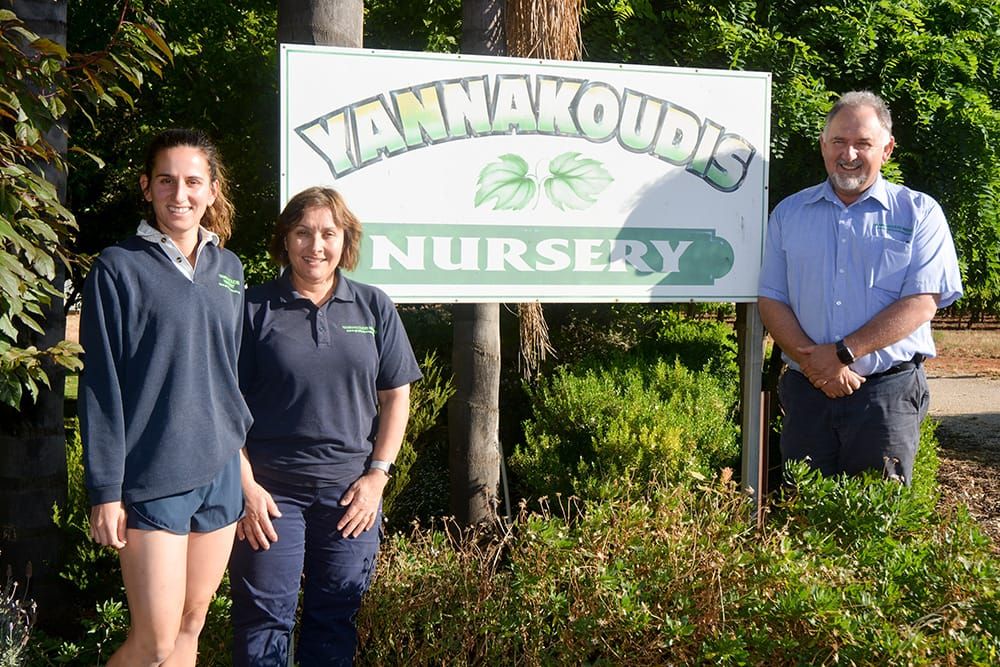 Energy grants help local business post image