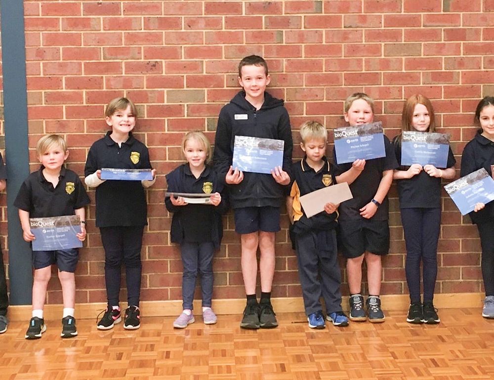 Students’ amazing discoveries post image