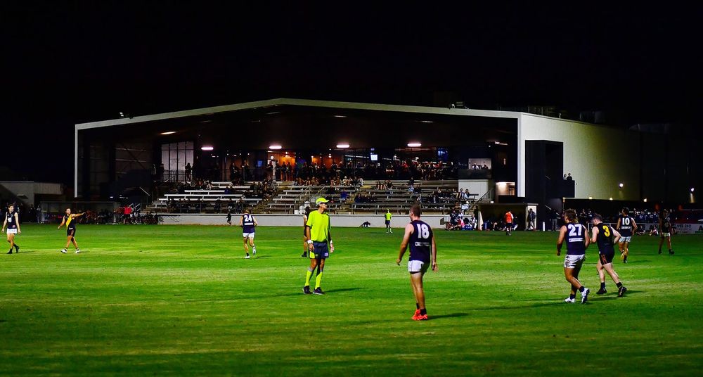 Tigers ask for a mask post image