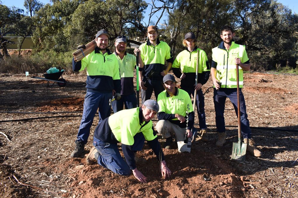 Community effort to make light work post image