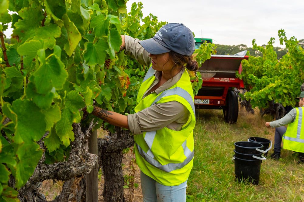 Getting toward the end goal post image